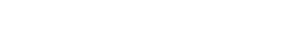 Logo Fraunhofer IIS
