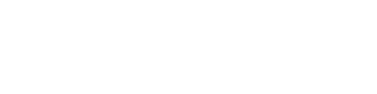 netlight Logo
