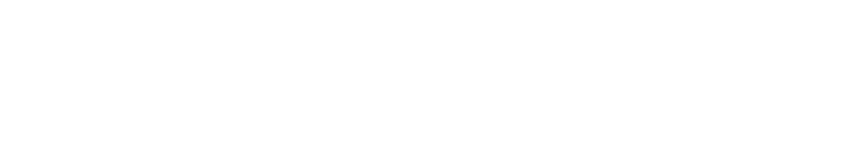 Logo IBI 