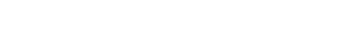 Logo SafeTRANS