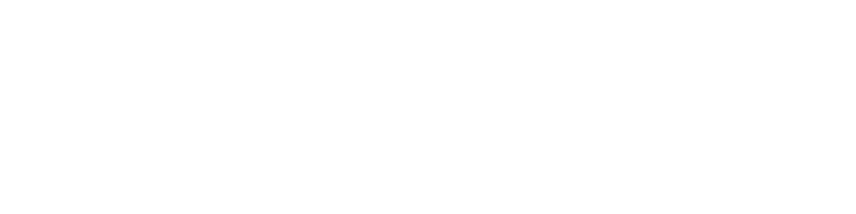 fortiss Logo