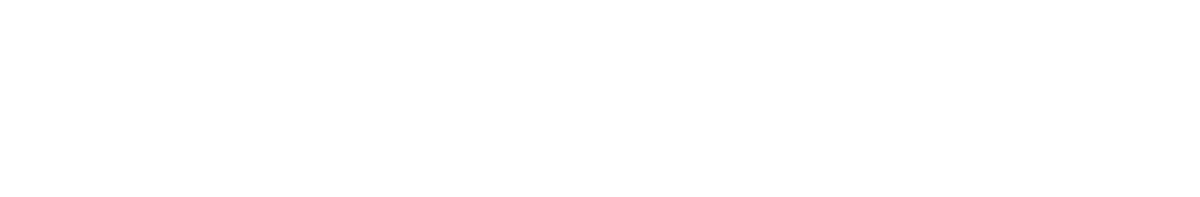 The Bavarian Research Institute for Digital Transformation (bidt)
