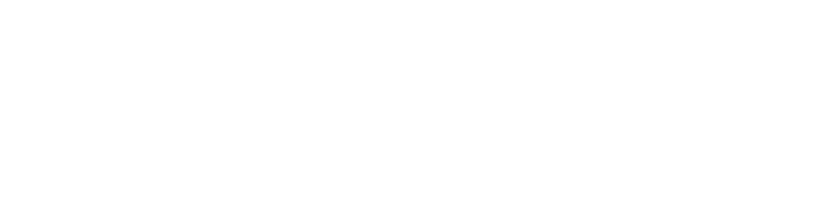 DLR Institut für Flugsyteme