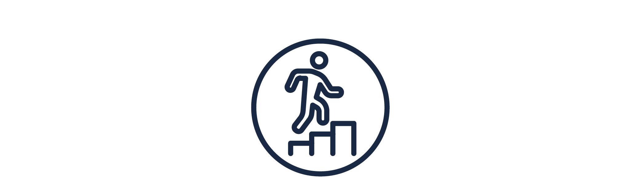 Icon Professional development