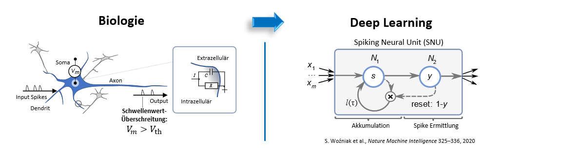 Spiking Neural Unit