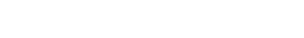 Logo Nationales E-Government Kompetenzzentrum e.V.
