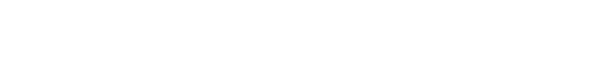 Logo bavAIRia e.V.