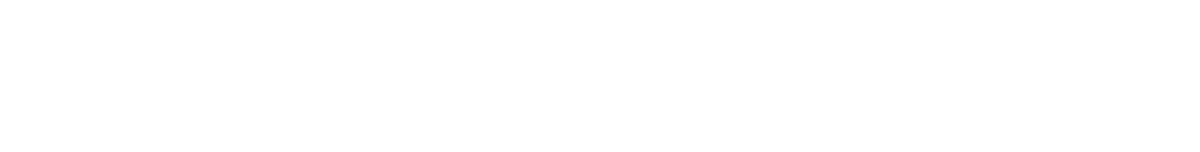 Logo Luce foundation