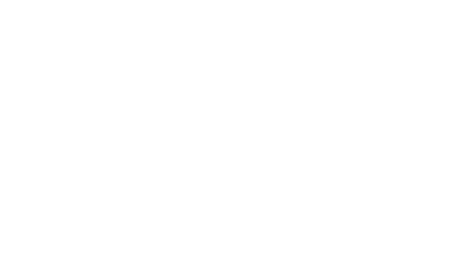 Technische Universität Delft
