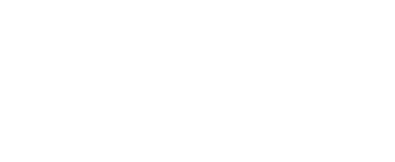 bavAIRia