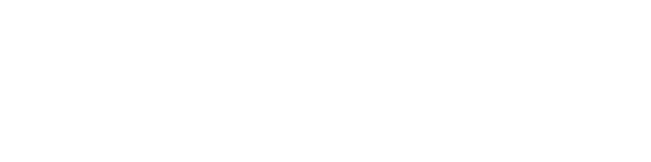 Trust-IT Services